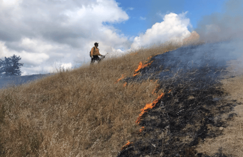 Screen Shot 2021-09-15 at 1.50.55 PM