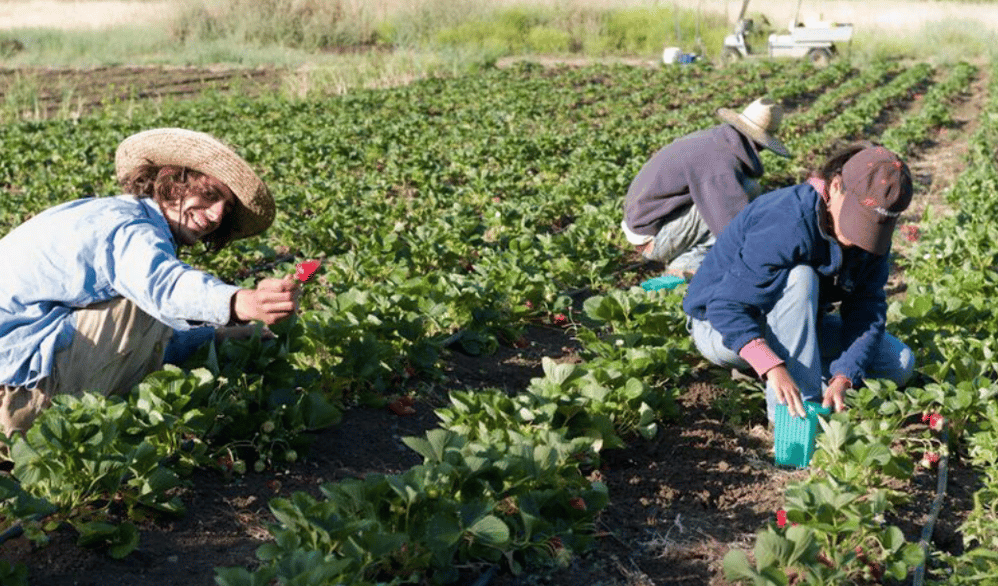 Screen Shot 2025-02-24 at 2.35.04 PM