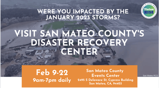 Screenshot 2023-02-06 at 11.34.21 AM