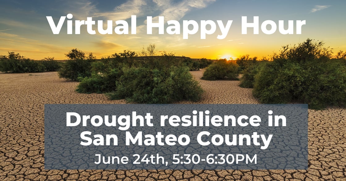 Virtual Happy Hour June 24