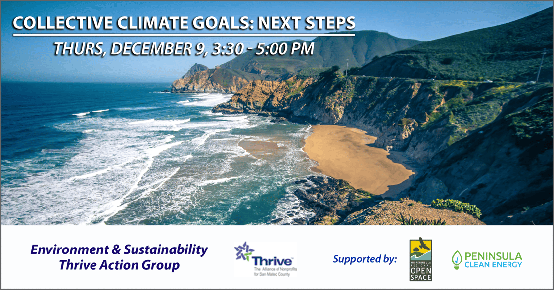 collective_climate_nextsteps-1